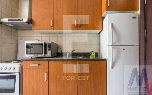 Spacious Studios for Corporate Accommodations I Green Environment