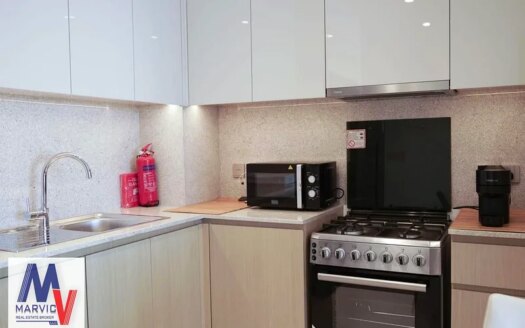 Luxury Furnishing | High floor multiple options